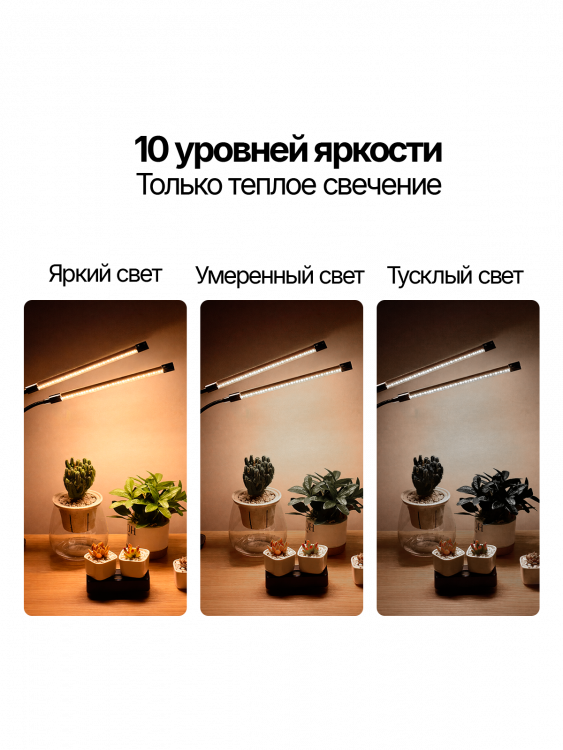 Фитолампа для рассады с таймером на прищепке Огонек OG-LDP20W